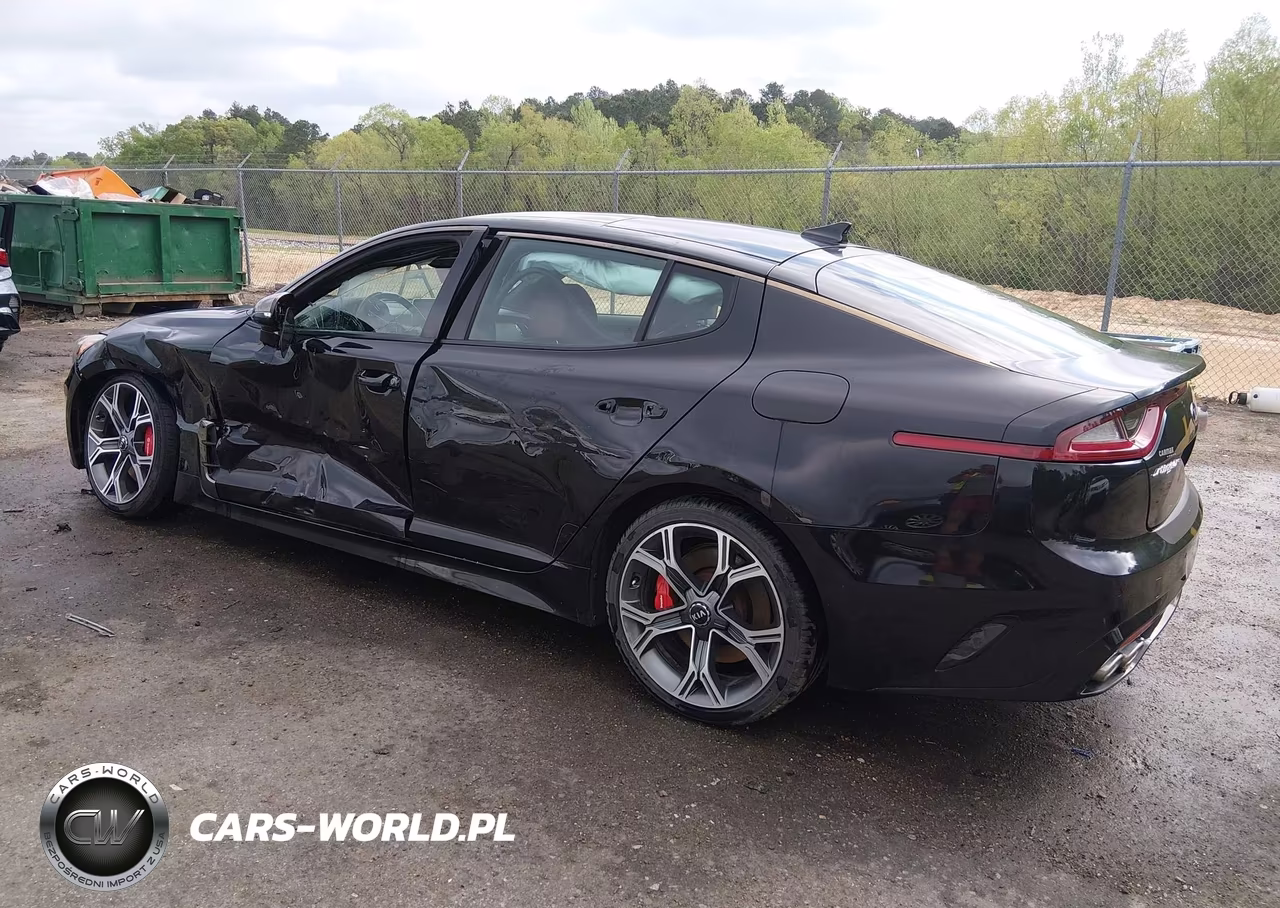 2018 Kia Stinger Gt1 VIN:KNAE45LCXJ6011547 - 3