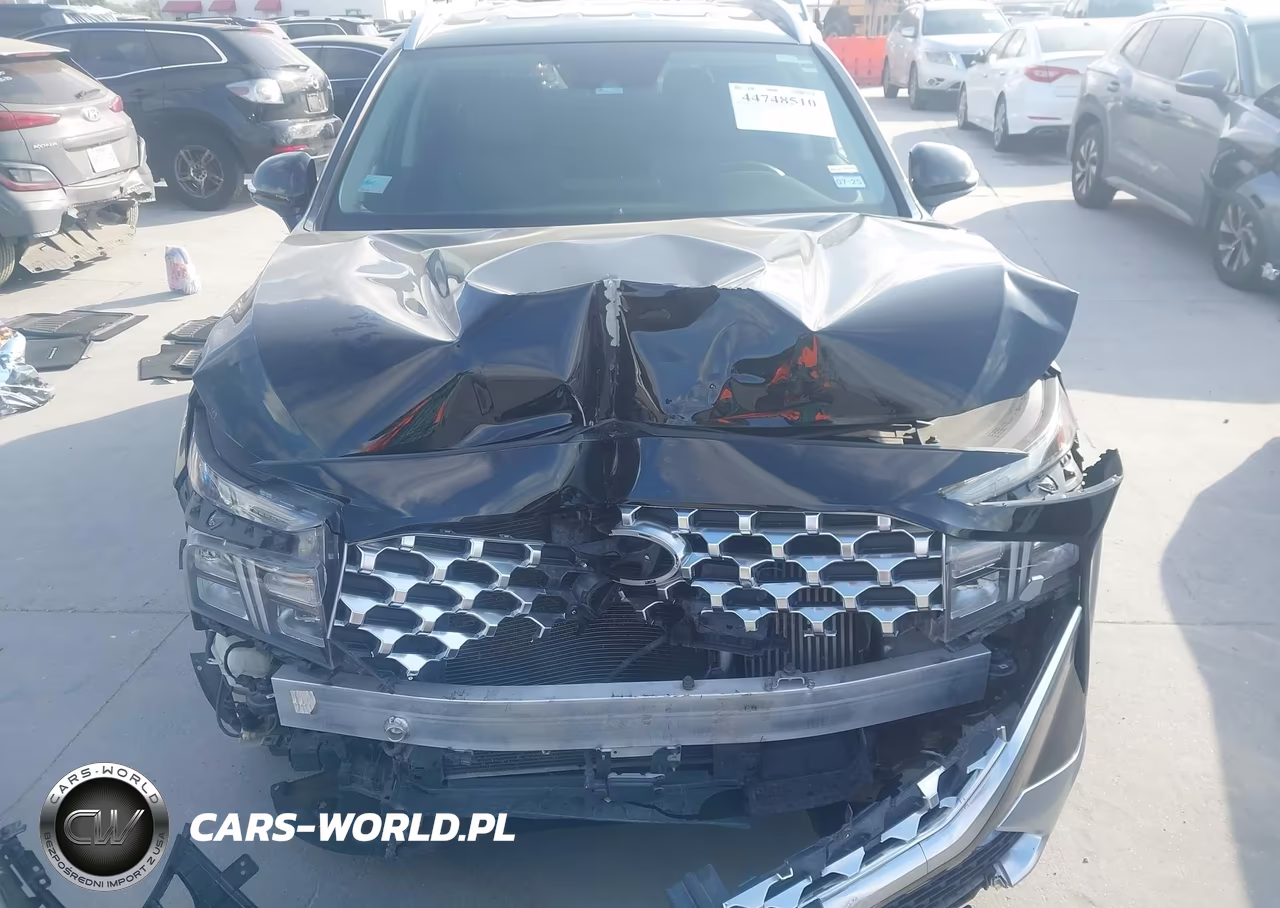 2021 Hyundai Santa Fe Hybrid Blue VIN:KM8S2DA13MU013210 - 13