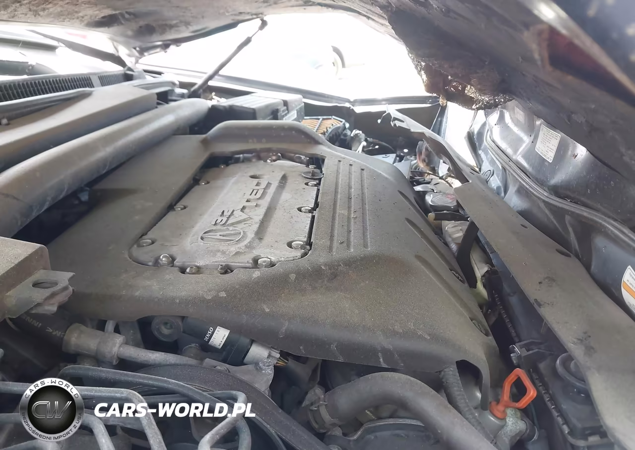 2005 Acura Tl VIN:19UUA66265A046879 - 10