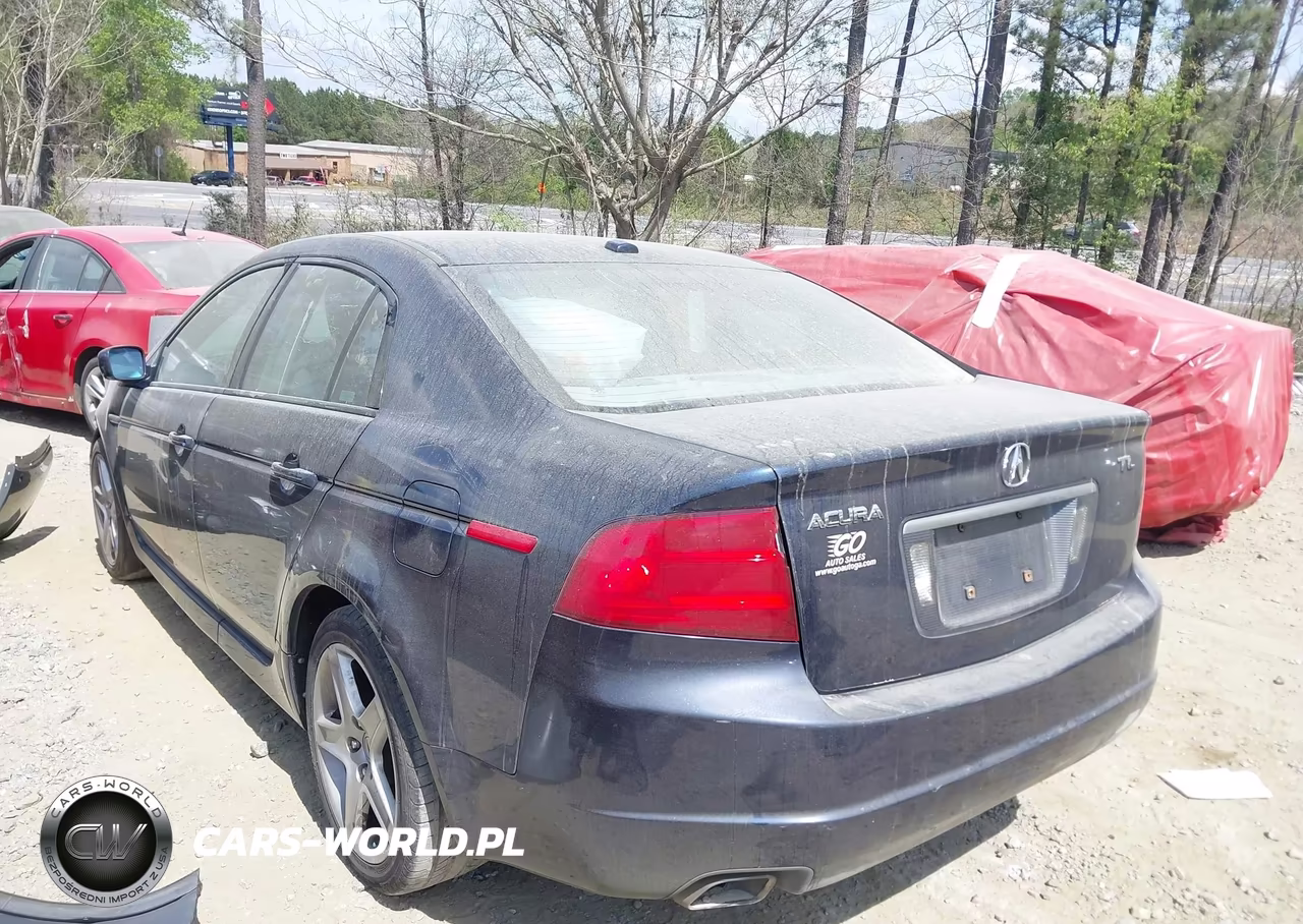 2005 Acura Tl VIN:19UUA66265A046879 - 3