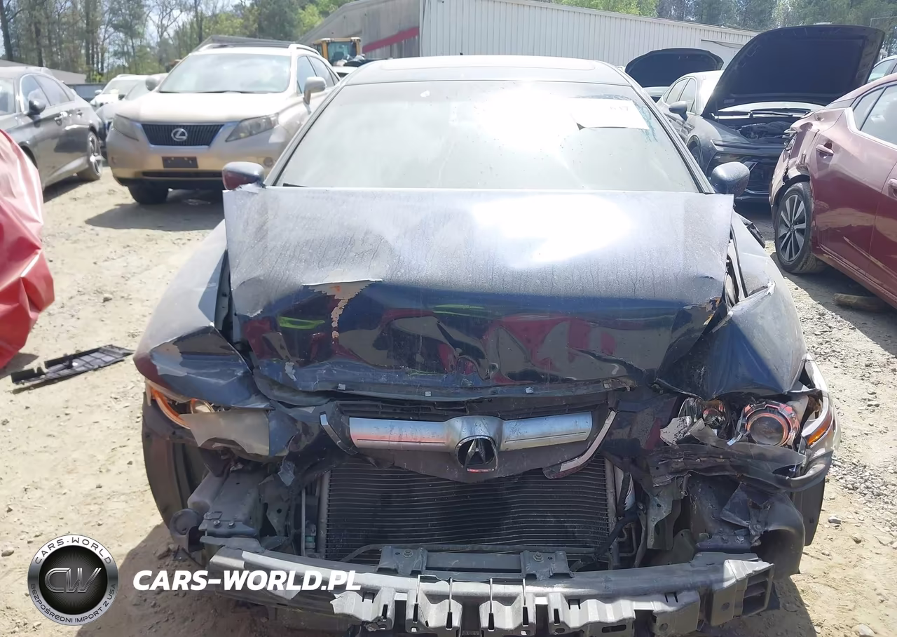2005 Acura Tl VIN:19UUA66265A046879 - 6