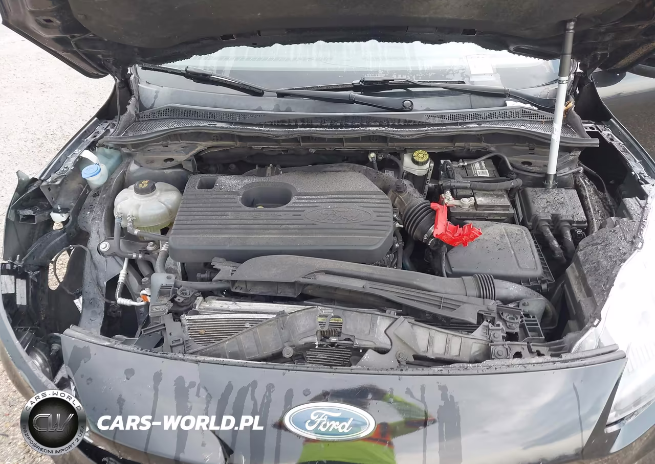 2020 Ford Escape Titanium VIN:1FMCU9J94LUB10254 - 10
