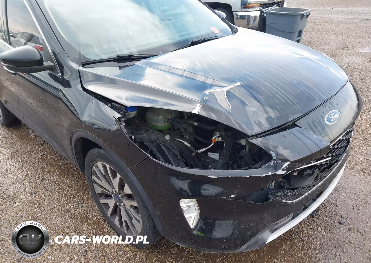 2020 Ford Escape Titanium VIN:1FMCU9J94LUB10254 - 6