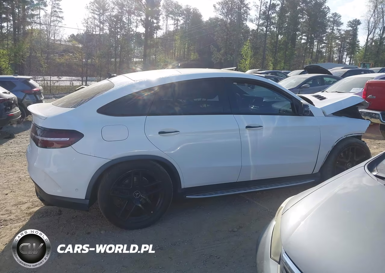 2019 Mercedes-Benz Amg Gle 43 Coupe 4Matic VIN:4JGED6EB9KA134277 - 13