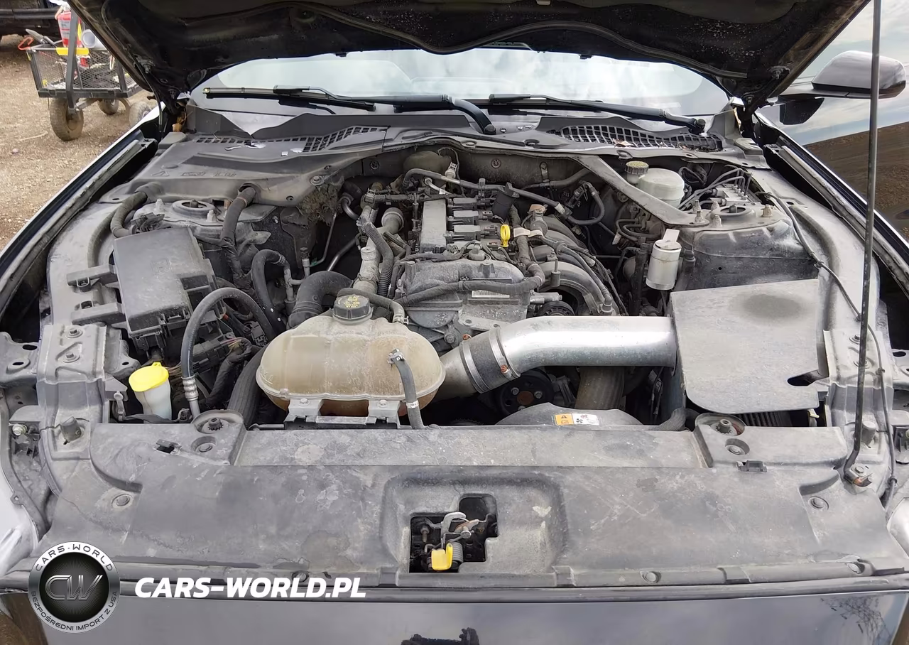 2015 Ford Mustang Ecoboost VIN:1FA6P8THXF5353613 - 10