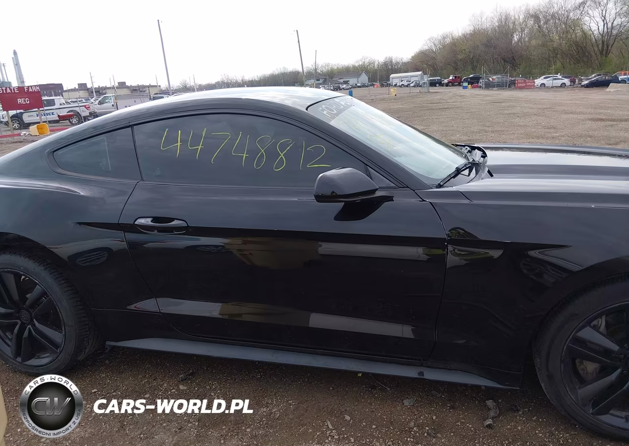 2015 Ford Mustang Ecoboost VIN:1FA6P8THXF5353613 - 13