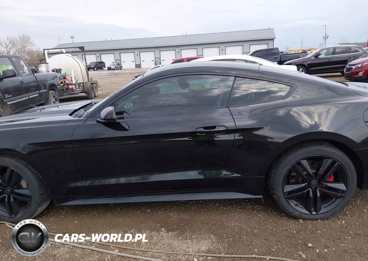 2015 Ford Mustang Ecoboost VIN:1FA6P8THXF5353613 - 14