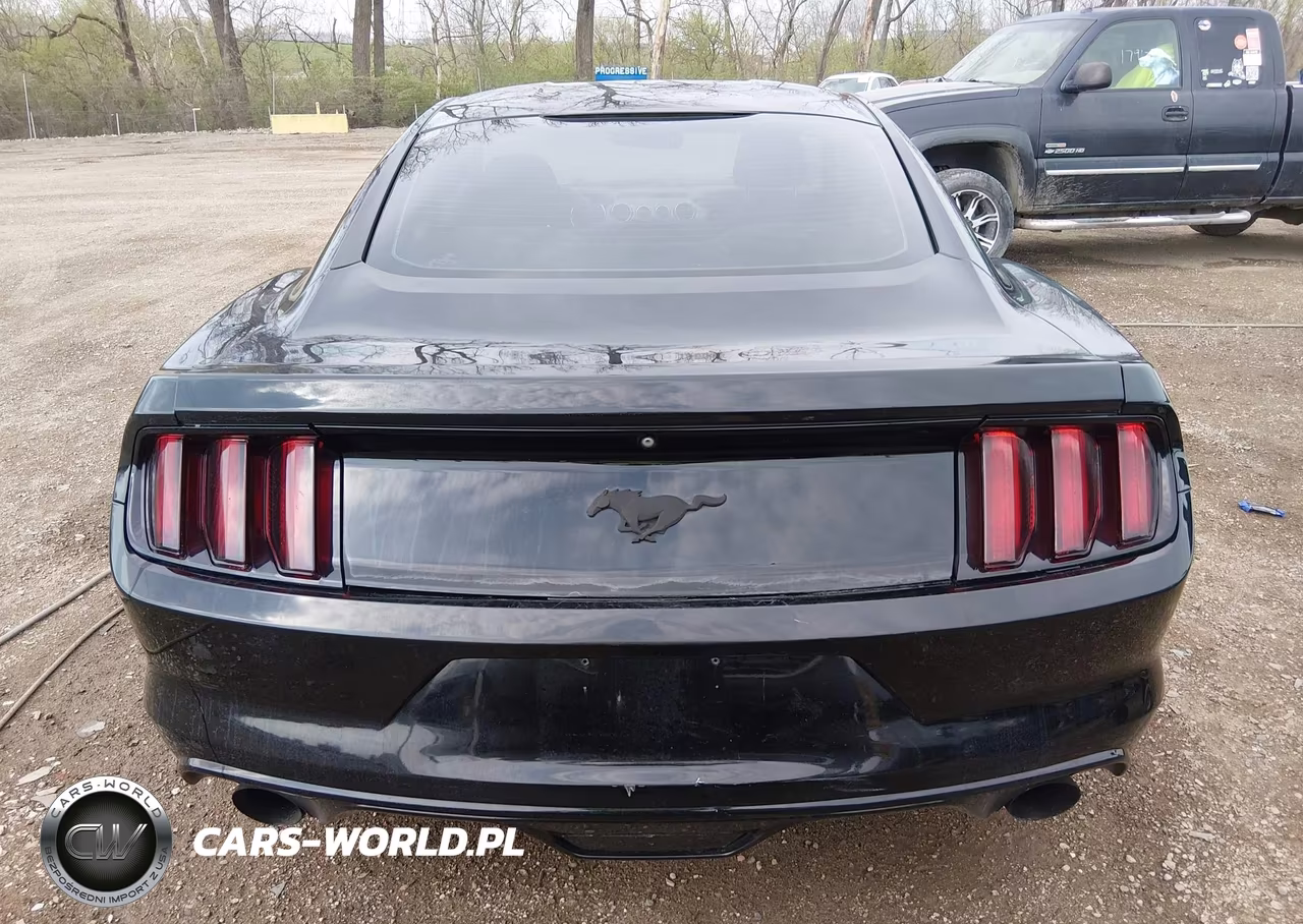 2015 Ford Mustang Ecoboost VIN:1FA6P8THXF5353613 - 16