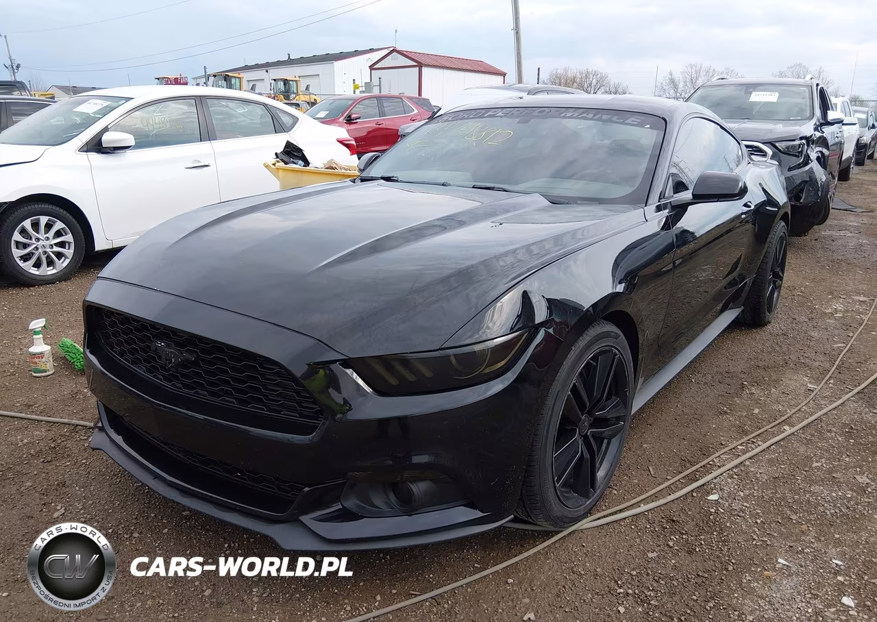 2015 Ford Mustang Ecoboost VIN:1FA6P8THXF5353613 - 2