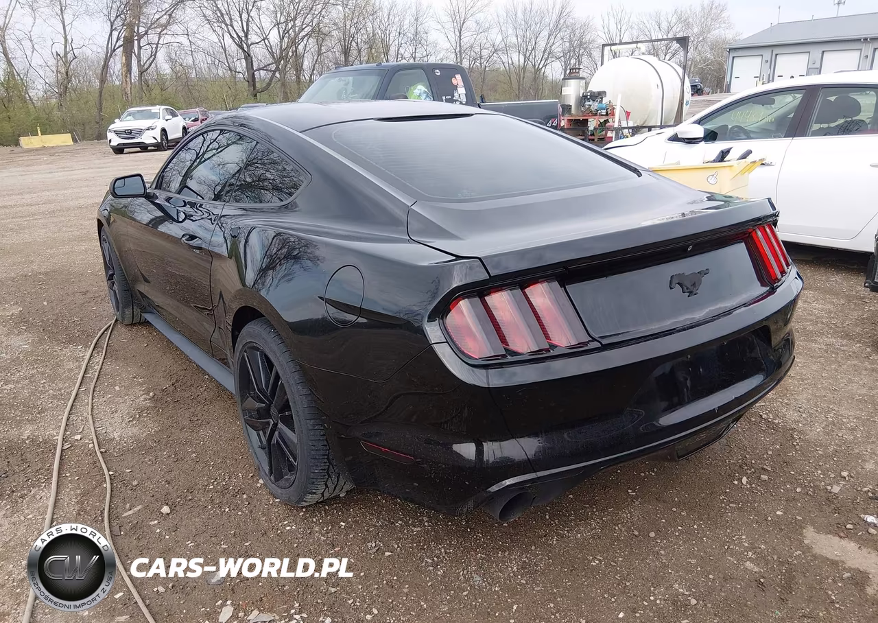 2015 Ford Mustang Ecoboost VIN:1FA6P8THXF5353613 - 3