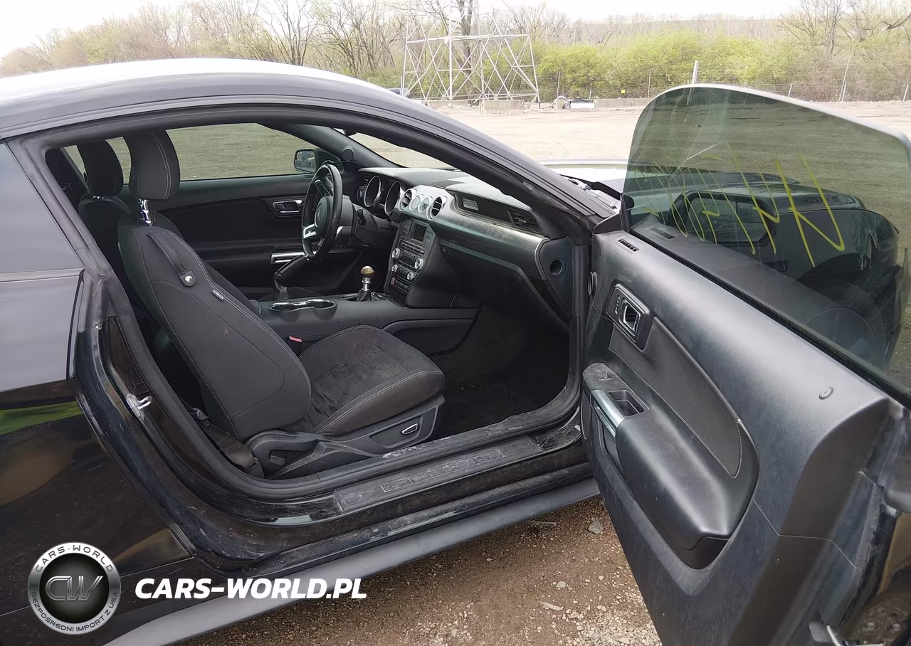 2015 Ford Mustang Ecoboost VIN:1FA6P8THXF5353613 - 5