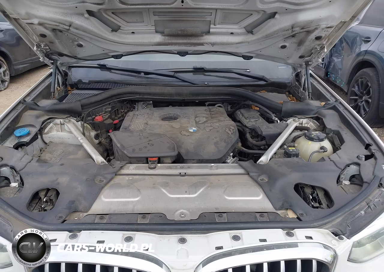 2019 BMW X3 Sdrive30I VIN:5UXTR7C52KLR43932 - 10