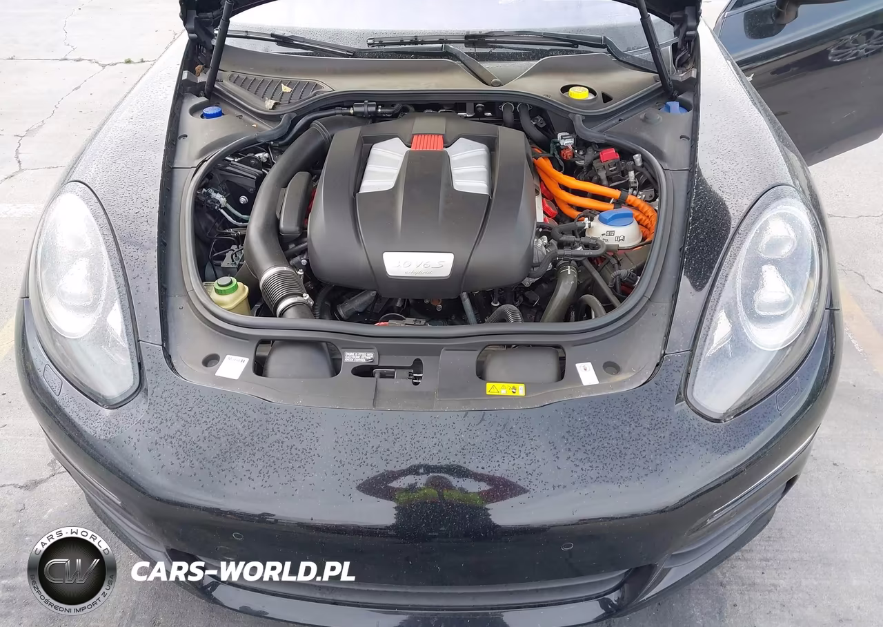 2015 Porsche Panamera E-Hybrid S VIN:WP0AD2A76FL040736 - 10