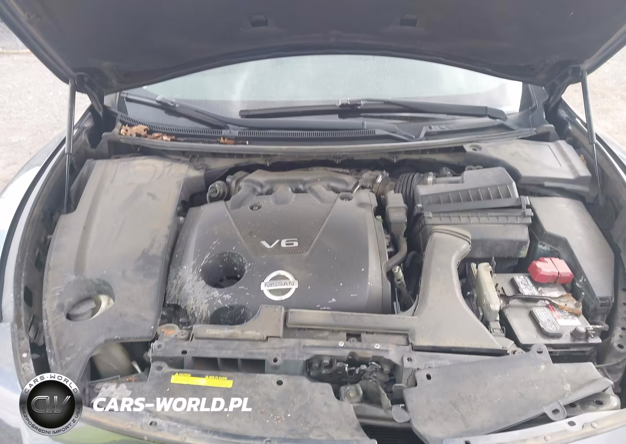 2013 Nissan Maxima 3.5 Sv VIN:1N4AA5AP2DC808953 - 10