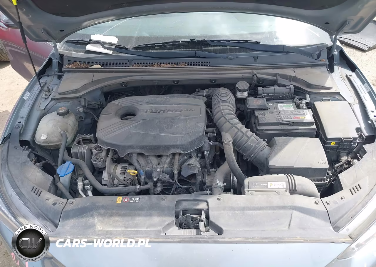 2021 Hyundai Veloster Turbo VIN:KMHTH6AB0MU032711 - 10