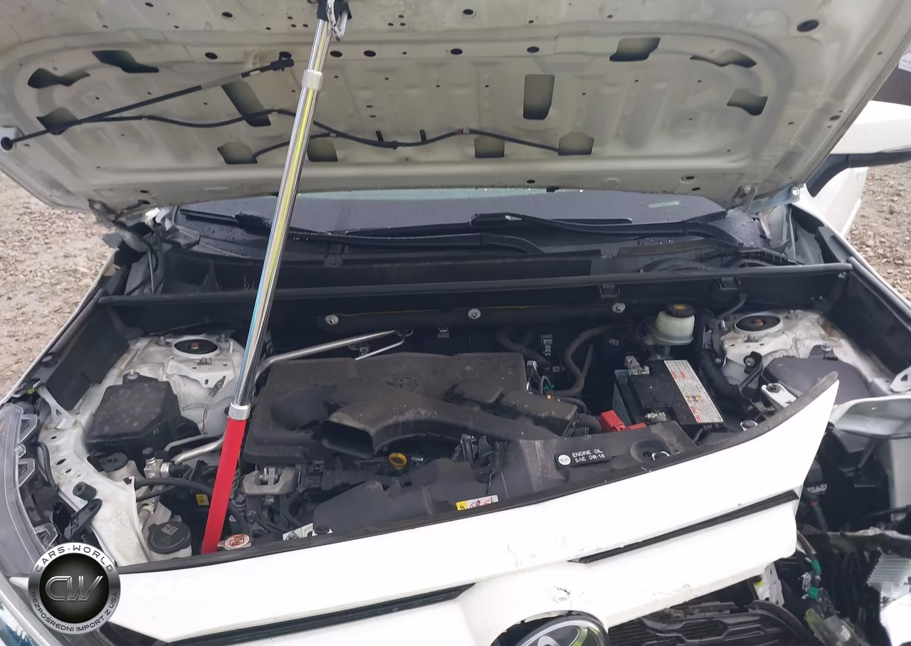 2019 Toyota Rav4 Xle VIN:JTMP1RFV7KD012791 - 10