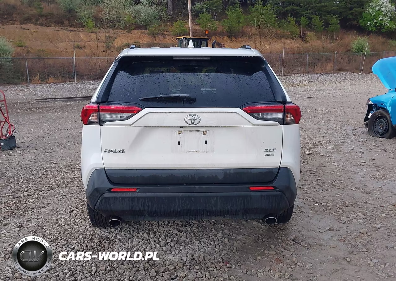 2019 Toyota Rav4 Xle VIN:JTMP1RFV7KD012791 - 16