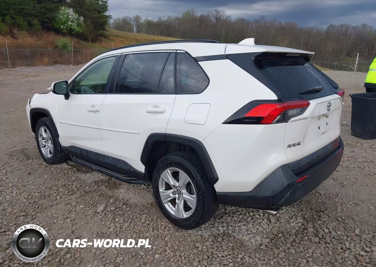 2019 Toyota Rav4 Xle VIN:JTMP1RFV7KD012791 - 3