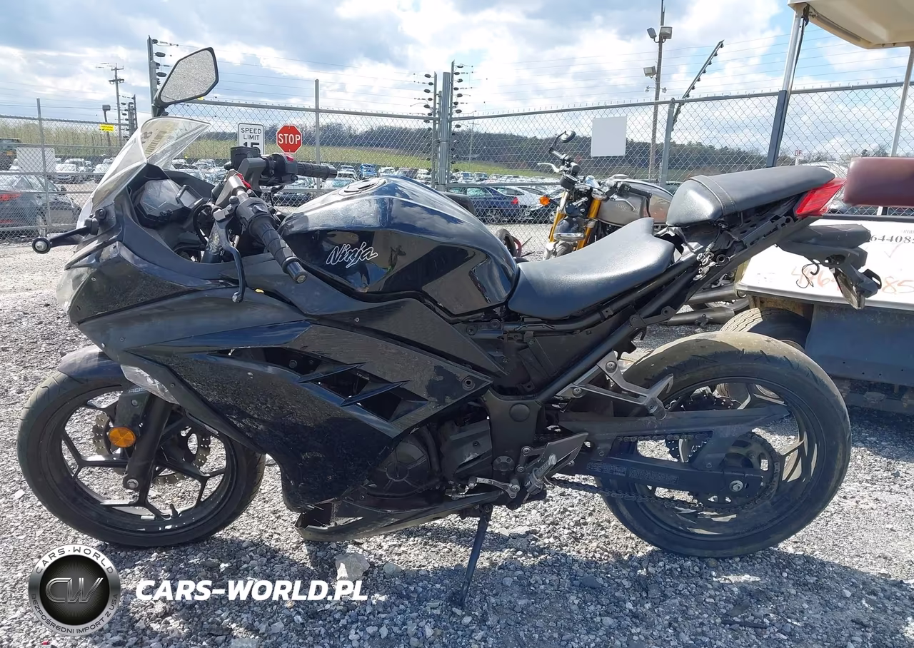 2014 Kawasaki Ex300 B VIN:JKAEX8B18EDA05983 - 13