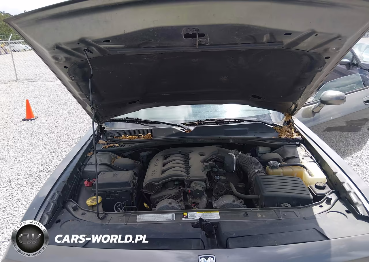 2010 Dodge Challenger Se VIN:2B3CJ4DV9AH161355 - 10