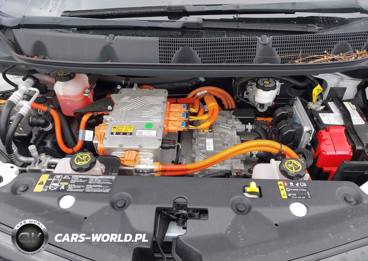 2018 Chevrolet Bolt Ev Lt VIN:1G1FW6S03J4112562 - 10