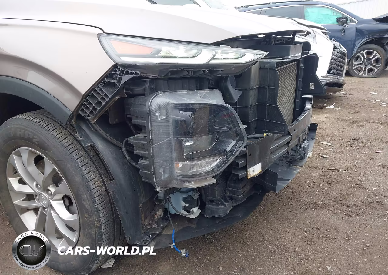 2019 Hyundai Santa Fe Sel VIN:5NMS3CAD1KH006170 - 17