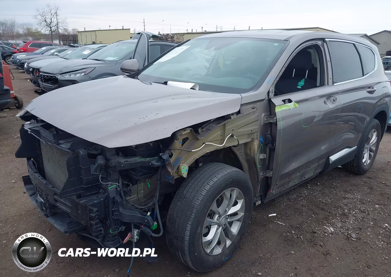 2019 Hyundai Santa Fe Sel VIN:5NMS3CAD1KH006170 - 2
