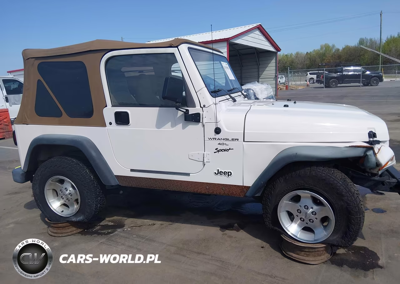2000 Jeep Wrangler Sport VIN:1J4FA49SXYP700530 - 13