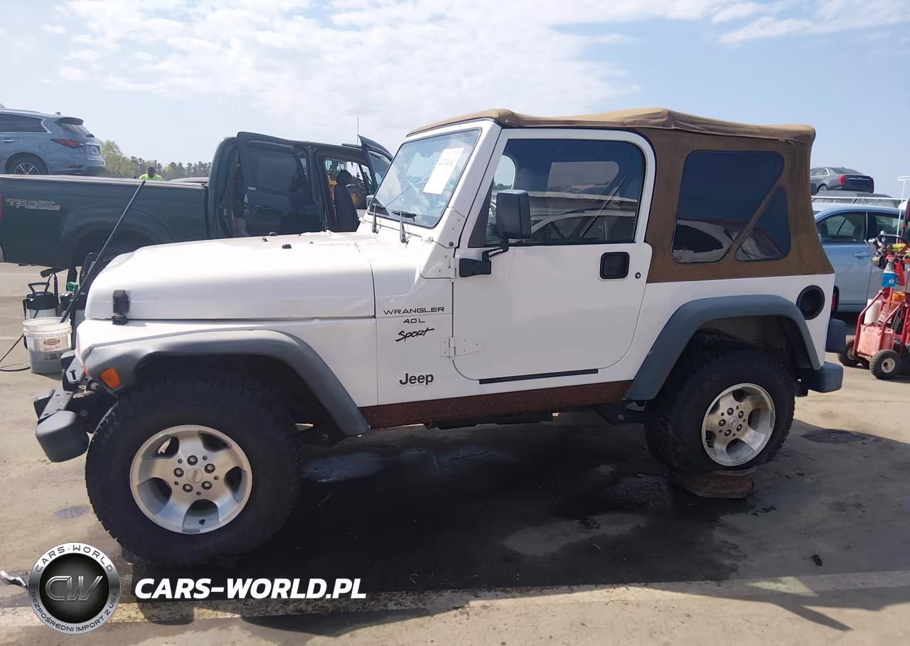 2000 Jeep Wrangler Sport VIN:1J4FA49SXYP700530 - 14