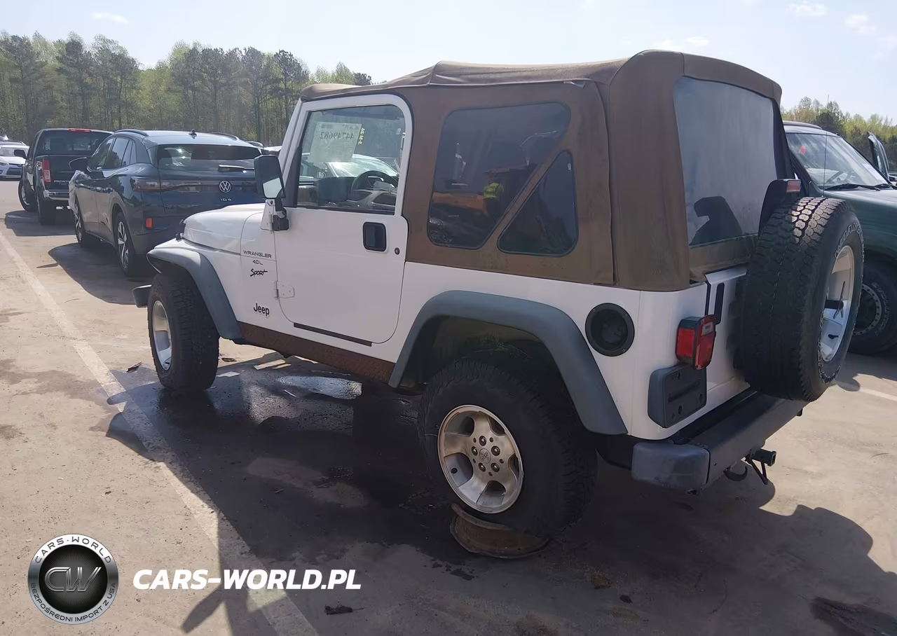 2000 Jeep Wrangler Sport VIN:1J4FA49SXYP700530 - 3