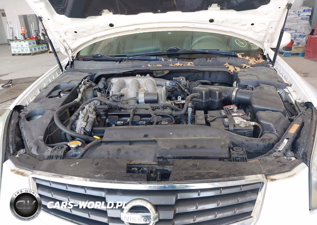 2007 Nissan Maxima 3.5 Se VIN:1N4BA41E67C844727 - 10