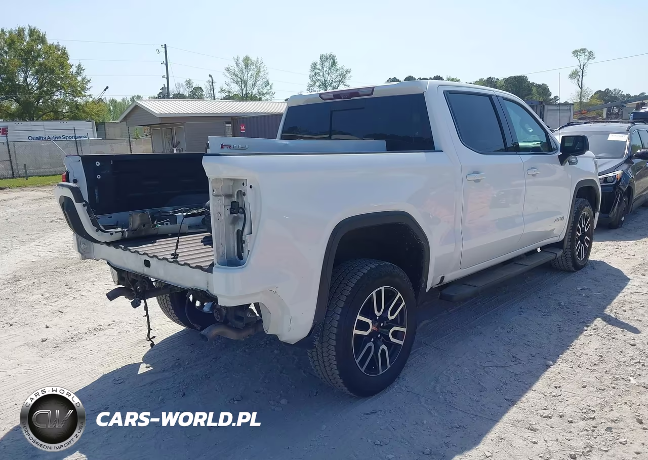 2020 GMC Sierra 1500 4Wd Short Box At4 VIN:3GTU9EET2LG307287 - 4