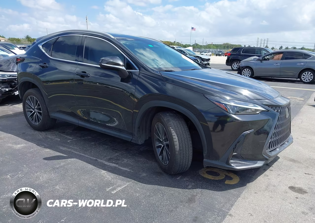 2024 Lexus Nx 250 Premium