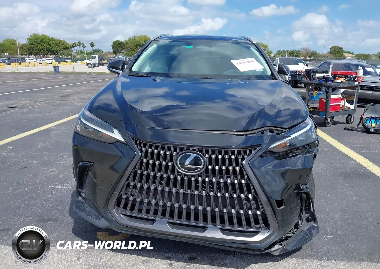 2024 Lexus Nx 250 Premium VIN:2T2GDCAZ7RC014302 - 13