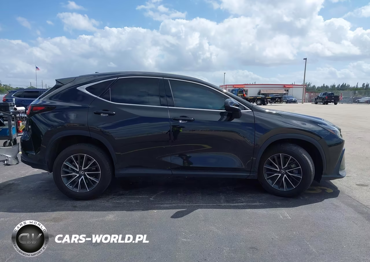 2024 Lexus Nx 250 Premium VIN:2T2GDCAZ7RC014302 - 14