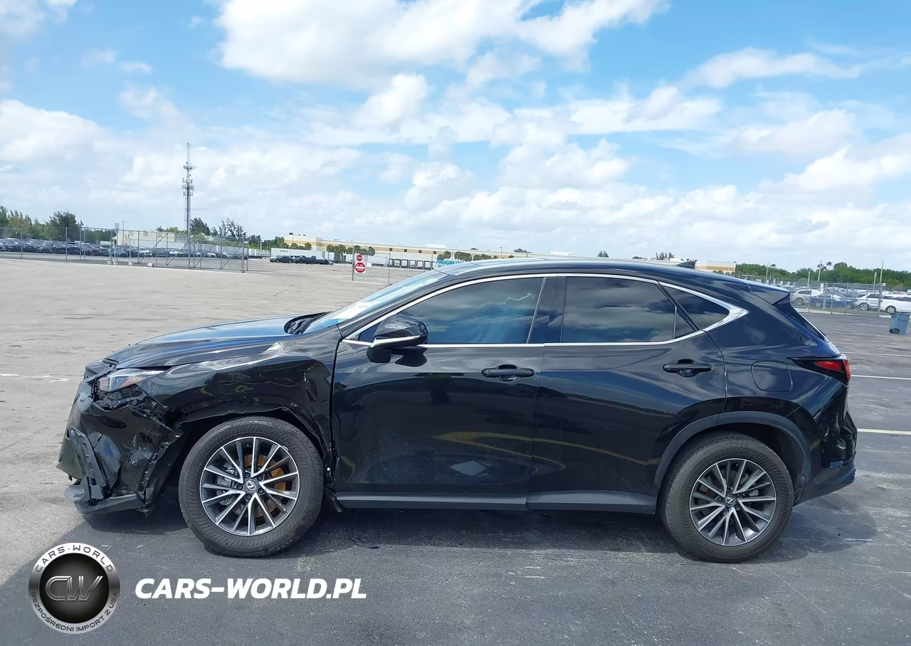2024 Lexus Nx 250 Premium VIN:2T2GDCAZ7RC014302 - 15