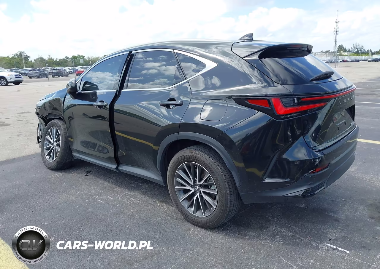 2024 Lexus Nx 250 Premium VIN:2T2GDCAZ7RC014302 - 3