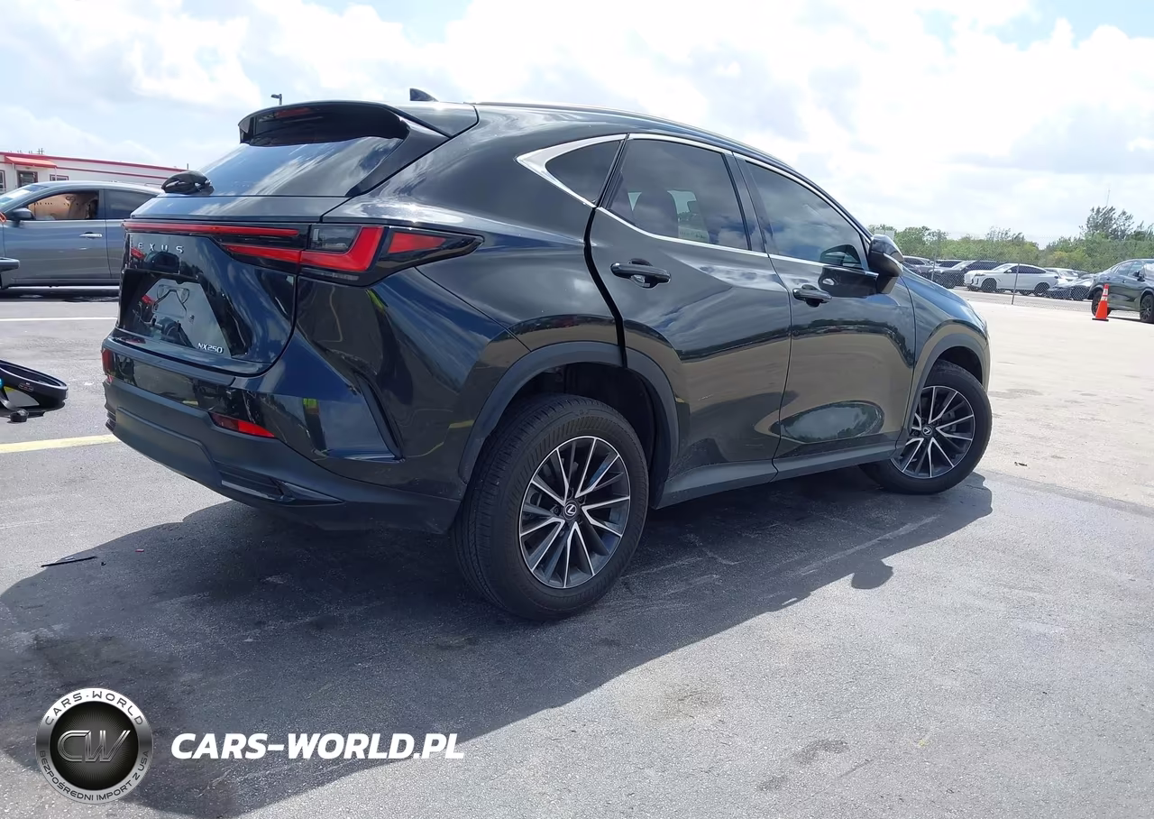 2024 Lexus Nx 250 Premium VIN:2T2GDCAZ7RC014302 - 4