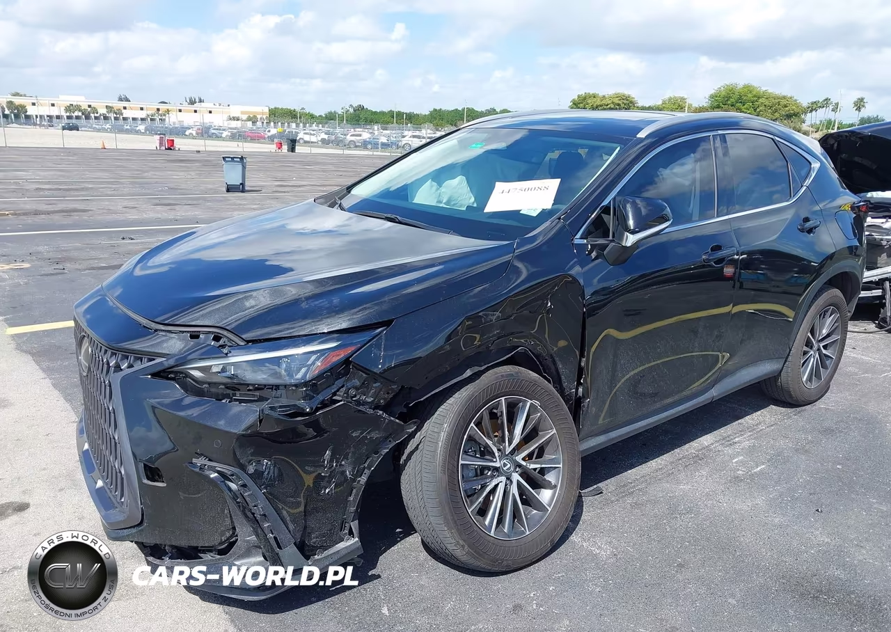 2024 Lexus Nx 250 Premium VIN:2T2GDCAZ7RC014302 - 6