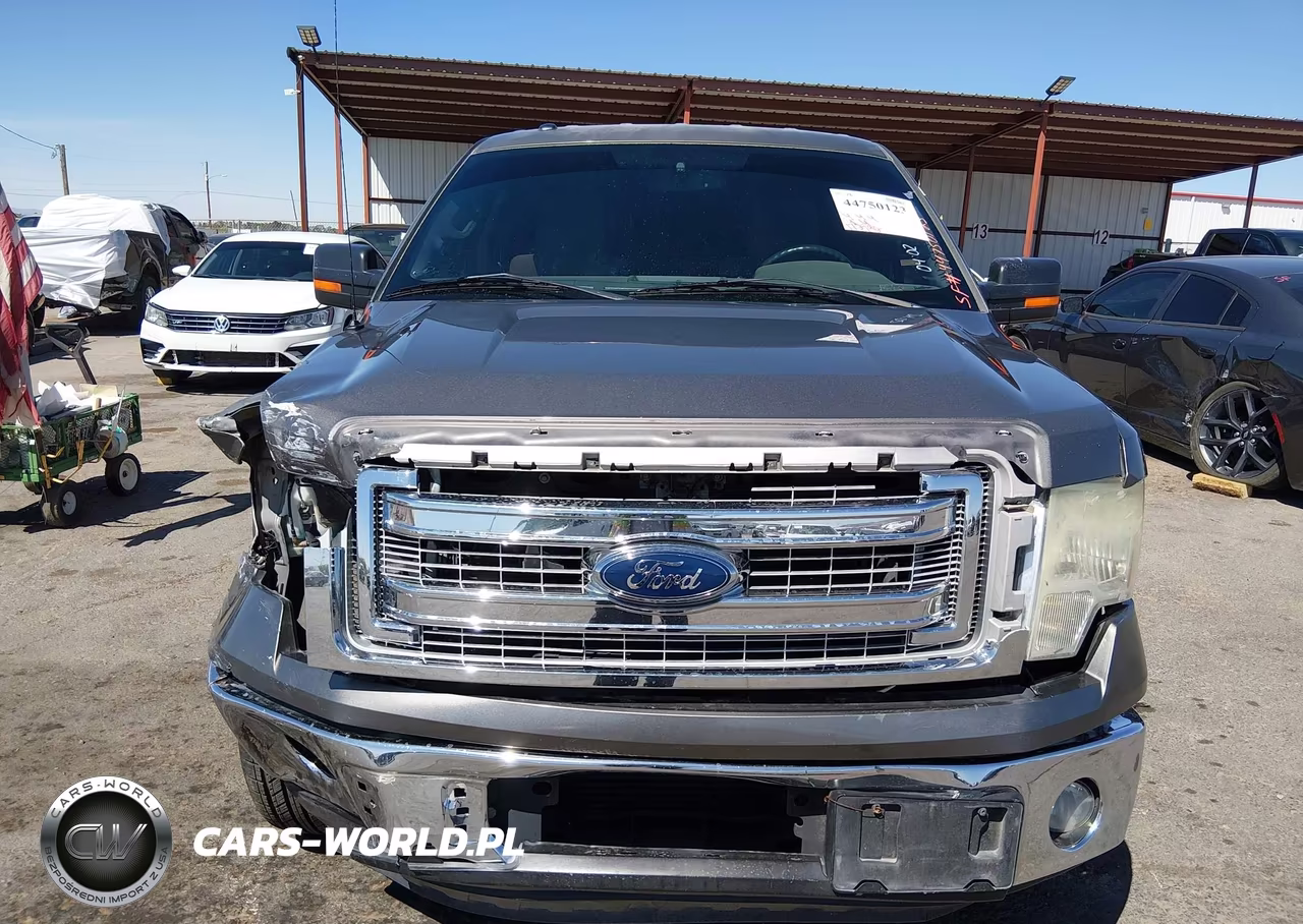 2014 Ford F-150 Xlt VIN:1FTFW1CT7EKD07102 - 12