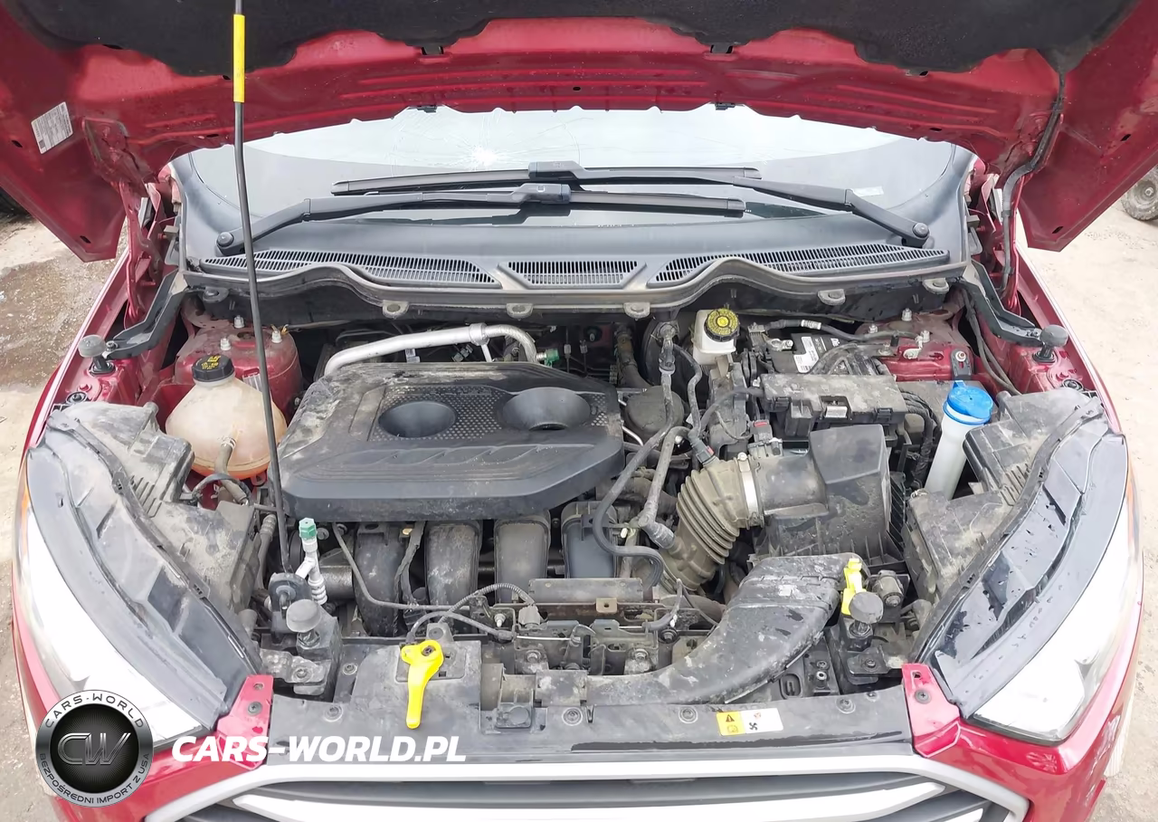 2020 Ford Ecosport Se VIN:MAJ6S3GL2LC392607 - 10