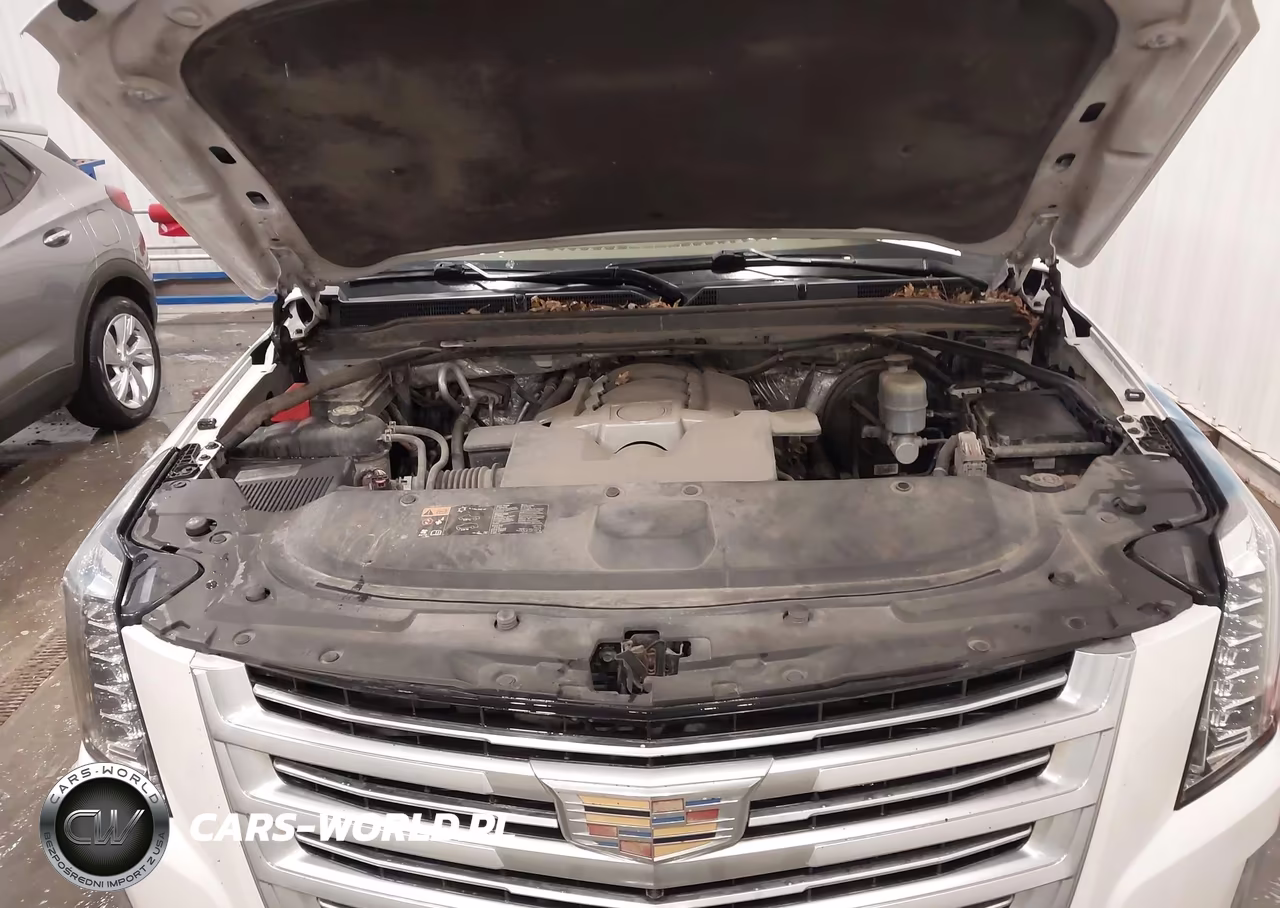 2016 Cadillac Escalade Platinum VIN:1GYS4DKJ3GR271886 - 10