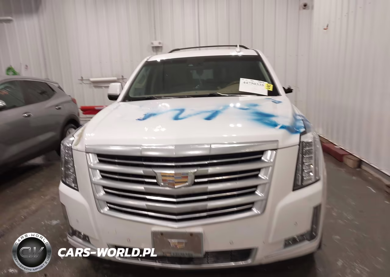 2016 Cadillac Escalade Platinum VIN:1GYS4DKJ3GR271886 - 13