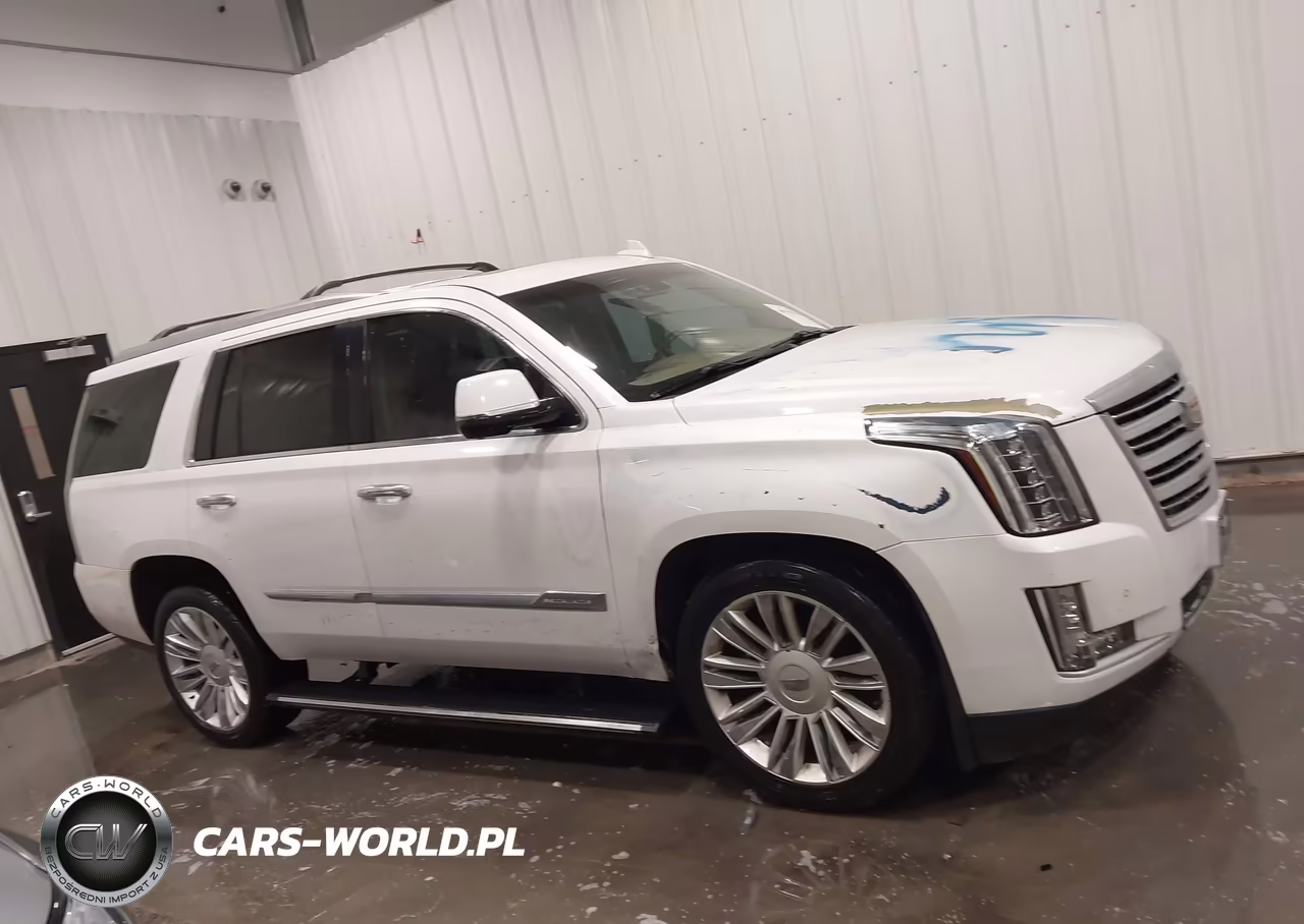 2016 Cadillac Escalade Platinum VIN:1GYS4DKJ3GR271886 - 14