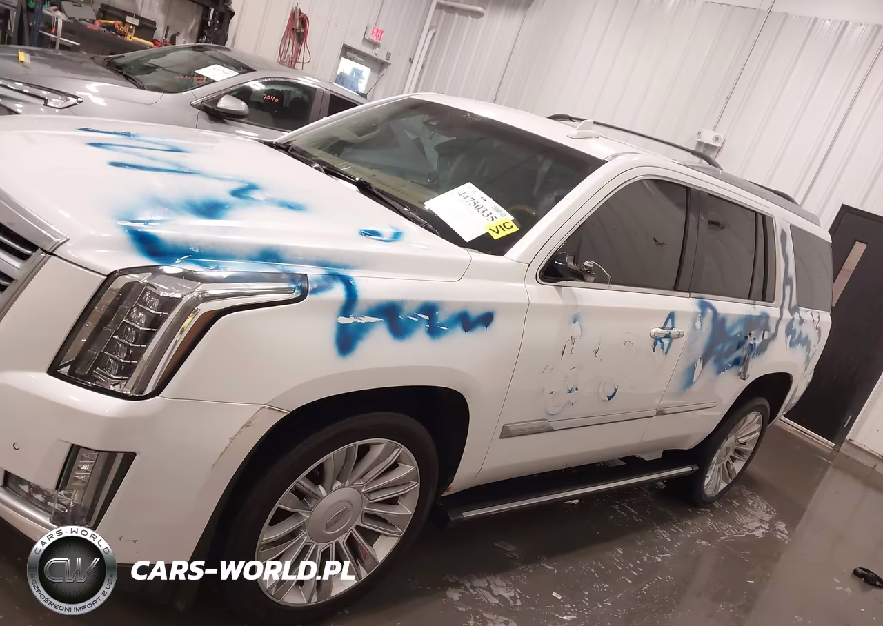 2016 Cadillac Escalade Platinum VIN:1GYS4DKJ3GR271886 - 15