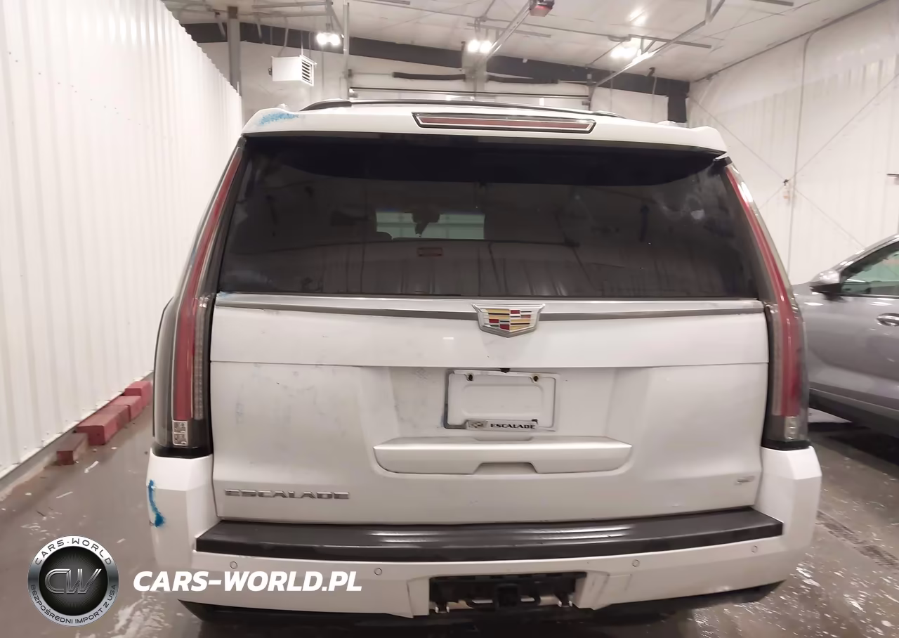 2016 Cadillac Escalade Platinum VIN:1GYS4DKJ3GR271886 - 17