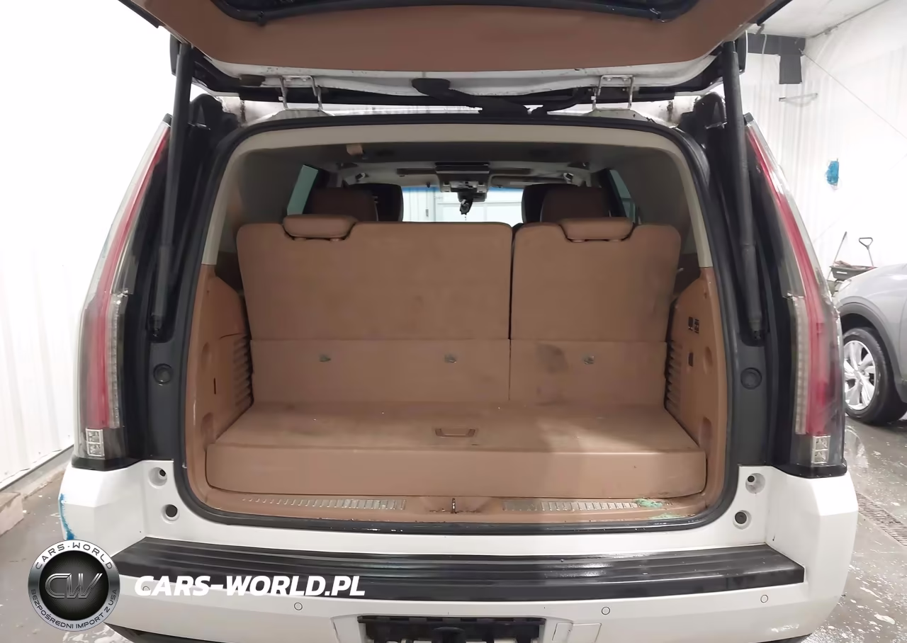 2016 Cadillac Escalade Platinum VIN:1GYS4DKJ3GR271886 - 18