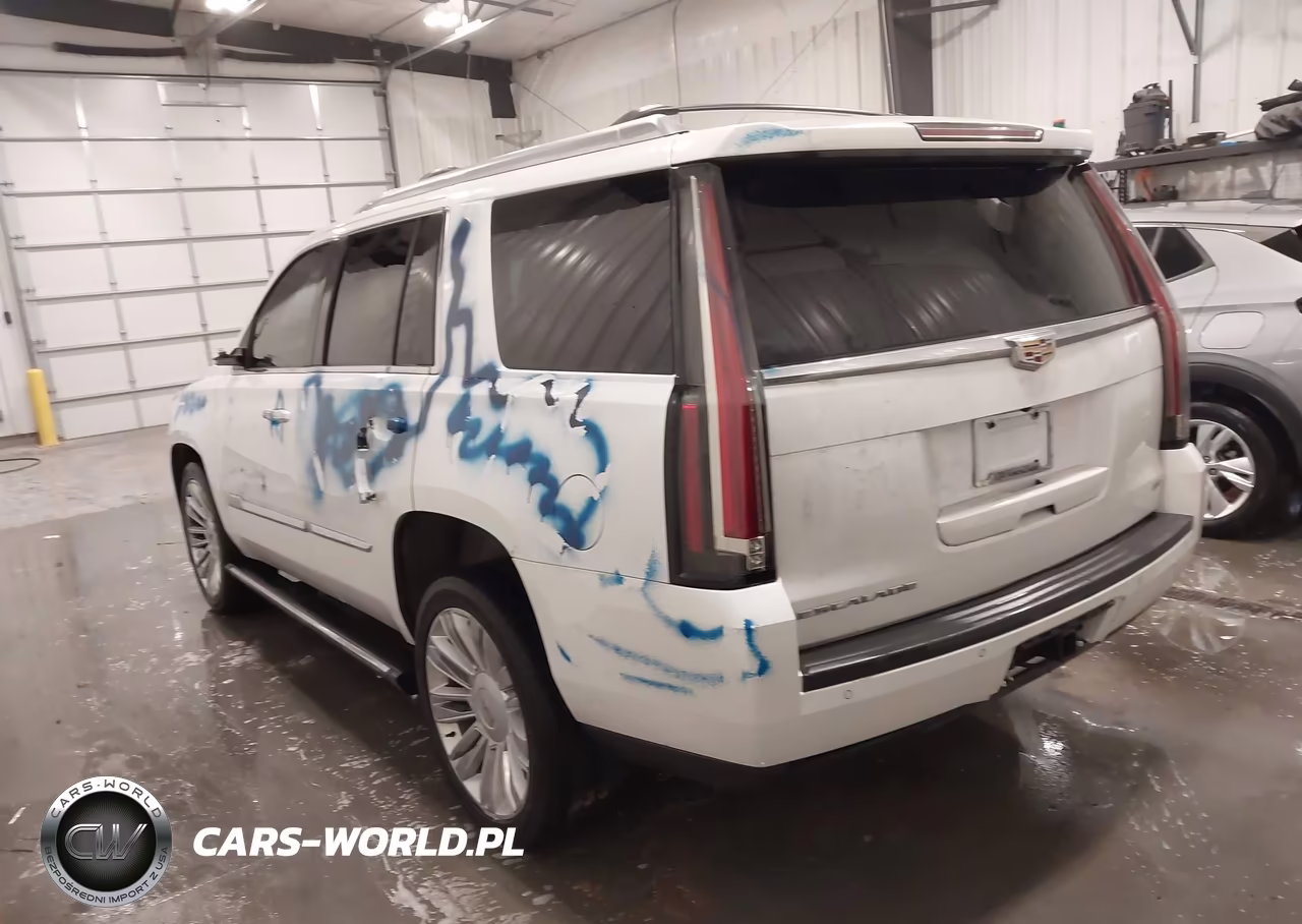 2016 Cadillac Escalade Platinum VIN:1GYS4DKJ3GR271886 - 3