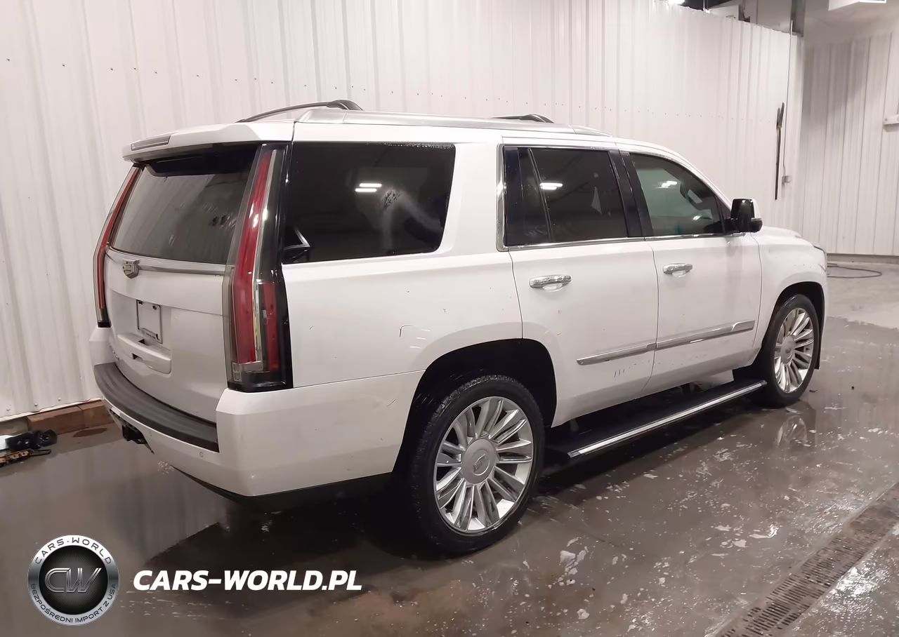 2016 Cadillac Escalade Platinum VIN:1GYS4DKJ3GR271886 - 4