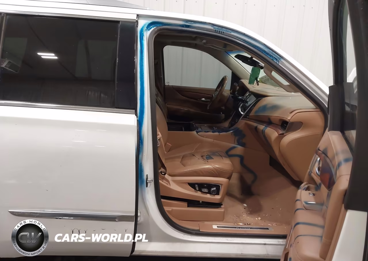2016 Cadillac Escalade Platinum VIN:1GYS4DKJ3GR271886 - 5
